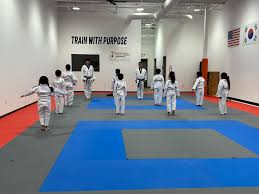 Image result for Championship Martial Arts Frisco