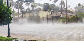 Image result for Hurricanes