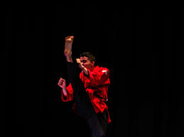 Image result for Elite Force Martial Arts Fort Lauderdale