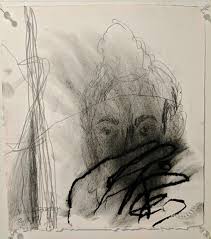 Image result for borte h