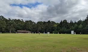 Image result for Park Hill Cricket Club