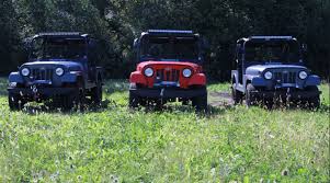 Image result for roxor tehron