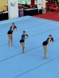 Image result for Basingstoke Gymnastics Club