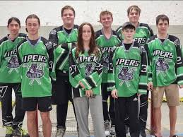 Image result for Vipers Roller Hockey Team