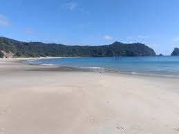 Image result for new chums beach