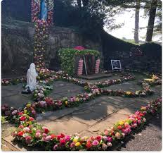 Image result for St Patrick`s Gac, Saul