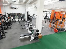 Image result for Mo Power Strength & Conditioning