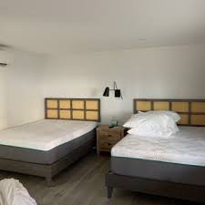 Image result for York University Surf Club