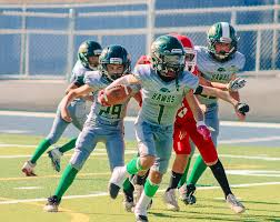 Image result for Hedingham Hawks Youth Football Club