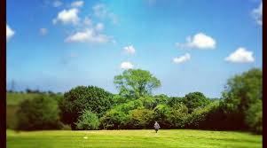 Image result for Fynn Valley Golf Club