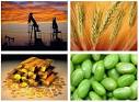 Five Things to Know About Commodity ETFs | ETF Trends