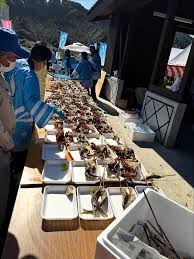 「野川由実」の画像検索結果