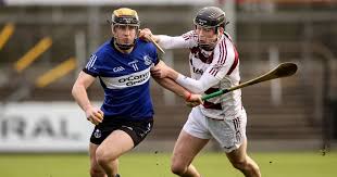 Image result for Sarsfields Hurling Club