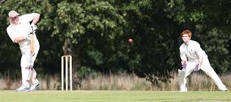 Image result for Alne Cricket Club