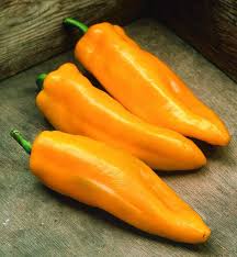 Afbeeldingsresultaat voor topepo giallo sweet pepper