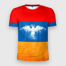 Image result for Футболка с флагом армении