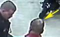 Daily Caller Sees Possible Head Injury In George Zimmerman Police ...