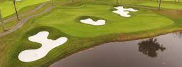 Image result for Green Haworth Golf Club