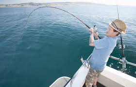 Image result for British Conger Club