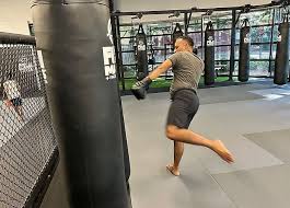 Image result for American Kick Boxing Club