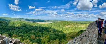 Image result for Stort Valley Sabre Club