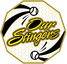 Image result for Stingers Korfball Club