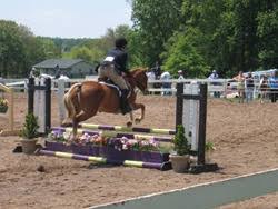 Image result for Patchett`s Green Riding Club