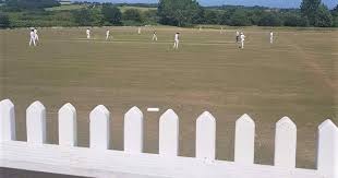 Image result for Abbotsbury Cricket Club
