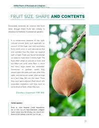 Attēlu rezultāti vaicājumam “Oenanthe aquatica fruit”