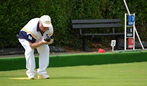 Image result for Basingstoke Town Bowling Club