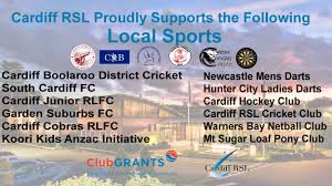 Image result for Cardiff Cobras