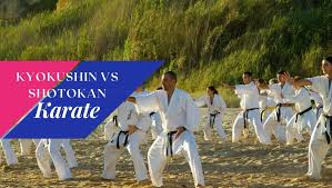 Image result for Inyo Karate Do Ninbukan