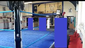 Image result for Cheshunt Amateur Boxing Club