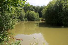 Image result for Guildford Angling Society