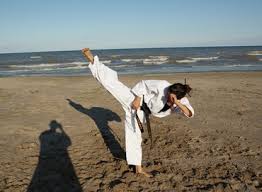 Image result for Kensei Karate Dojo