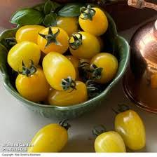 Afbeeldingsresultaat voor marmande jaune tomato