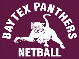 Image result for Medway Panthers Netball Club