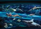 9 awesome hotel pools, including a SHARK TANK water slide ...