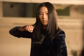Image result for kung fu