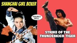 Image result for Enfield T'ai Tsung Chinese Boxing