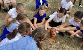 Image result for Shephalbury Bowls Club