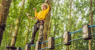 Image result for Go Ape! Thetford