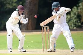 Image result for Swyncombe Cricket Club