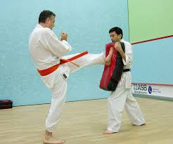 Image result for Broadwell Karate Club