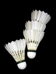 Image result for Nailsea & Yatton Optimist Jnr Badminton Club