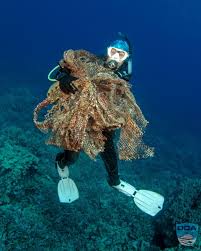 Image result for Exe To Sea Diving