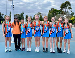 Image result for Camelot Netball Club