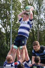 Image result for St Mary's Old Boys Rugby Union Football Club
