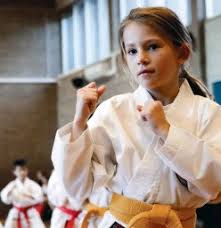 Image result for Springwood Karate