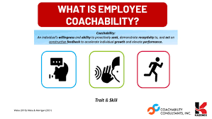 Image result for Coachability